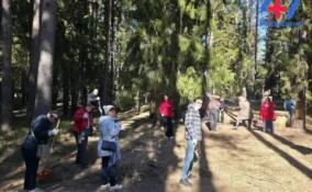 Сотрудники комздрава Ленобласти приняли участие в весенней уборке парка в Подпорожье