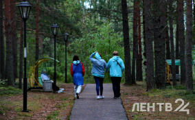 Дожди и до +15 градусов: о погоде в Ленобласти 22 апреля