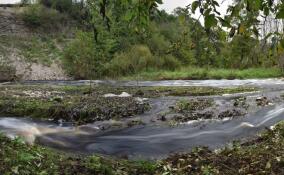 В Ленобласти создадут новую охранную зону вокруг памятника природы «Каньон реки Лава»