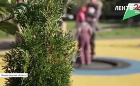 В 2027 году в Ленобласти благоустроят 34 территории по федеральной программе «Формирование комфортной городской среды»