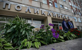 В Ленобласти на 16,7% выросла заболеваемость ОРВИ и гриппом