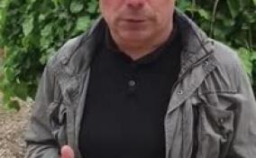 «Земля должна вернуться людям»: Габитов прокомментировал ситуацию вокруг приюта «Друг» во Всеволожском районе