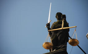 Мужчину будут судить за убийство человека в Лесколово