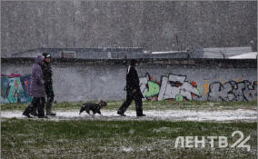 Мокрый снег, сильный ветер и лишь до +7: прогноз погоды в Ленобласти на 23 апреля