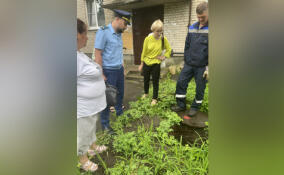 Прокуратура через суд обязала Леноблводоканал отремонтировать участок канализации в Сланцах