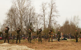 Погибшего на СВО Александра Ковтуновича проводили в последний путь в Отрадном