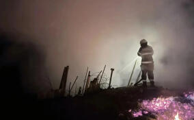 Две дачи и хозпостройки загорелись во Всеволожском районе