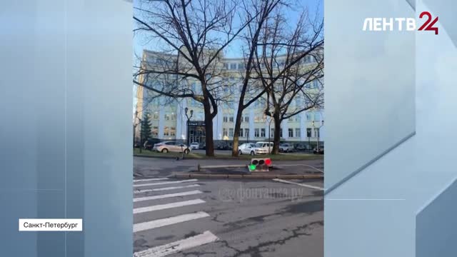 В Ленобласти выпал снег