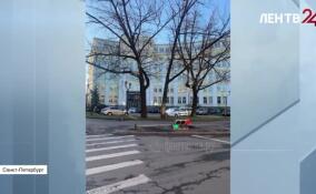 В Ленобласти выпал снег