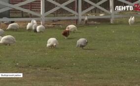 В Ленобласти стартовал 13-й поток «Школы фермера»