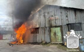 В Приозерске загорелся мебельный цех