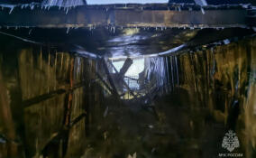 В Кингисеппе полыхает хранилище опилок