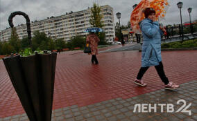 Дожди с мокрым снегом и до +10 градусов: о погоде в Ленобласти 24 апреля