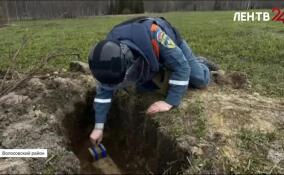 Авиационную бомбу ФАБ-100 времен Великой Отечественной войны уничтожили в Ленобласти