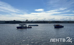 В Петербурге отметили «День чистой воды»