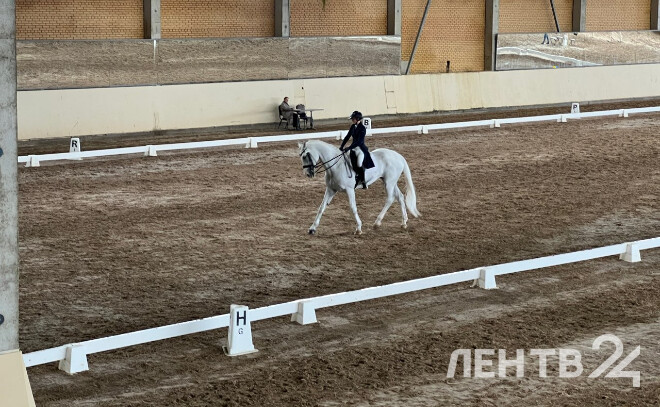 Во Всеволожском районе стартовали Всероссийские соревнования по выездке