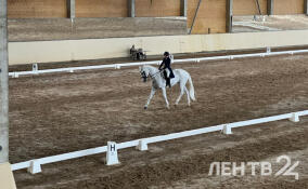 Во Всеволожском районе стартовали Всероссийские соревнования по выездке
