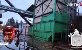 Расчеты нескольких пожарных частей тушили хранилище опилок в Кингисеппе