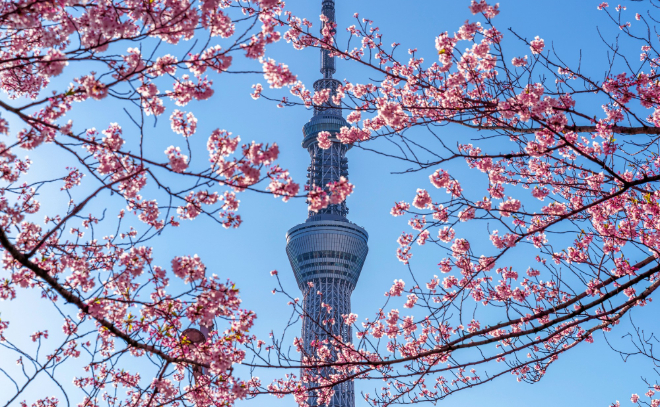 Японские нежности: зачем Токио благословил депутата на поездку в Москву