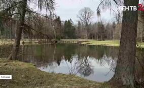 Джаз в Гатчине. По следам Леонида Утесова