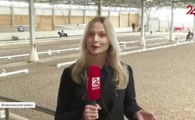 Во Всеволожском районе проходят всероссийские соревнования по выездке на призы Федерации конного спорта Ленобласти