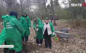 Традиционный субботник уже прошел в лесопарке имени Петра Антипова