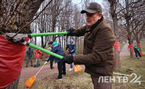 Дрозденко вышел на субботник у «Цветка жизни»: эксклюзивные кадры ЛенТВ24