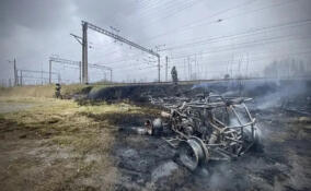 За сутки в Ленинградской области потушили 19 пожаров