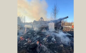 За сутки в Ленобласти потушили 15 пожаров