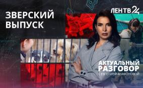 Как в Ленобласти решают проблему с бездомными животными