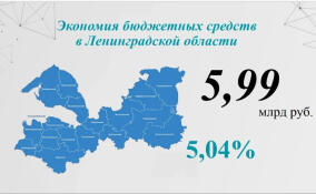 В Ленобласти сэкономили на госзакупках почти 6 млрд рублей