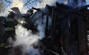 За сутки в Ленобласти потушили 11 пожаров