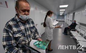 Заболеваемость ОРВИ и гриппом в Ленобласти упала на 23,8 %