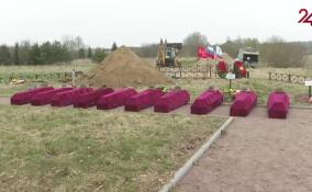 Торжественно-траурная церемония захоронения останков погибших бойцов прошла в Тосненском районе
