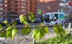 Комтранс Ленобласти: более 80% автобусов региона доступны для маломобильных граждан