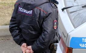 Пьяный посетитель магазина угрожал продавцу и открыл стрельбу в деревне Петровское