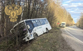 Автобус улетел в кювет в Ломоносовском районе