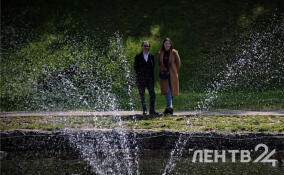 Без осадков и до +18 градусов: о погоде в Ленобласти 1 мая