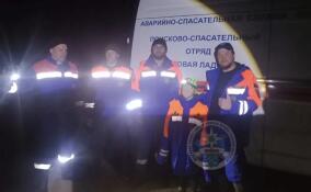 Спасатели вывели из леса у Киришей заплутавшего подростка