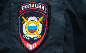 Месть бывшего: в Ленобласти сожгли иномарку прямо в лесополосе