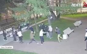 Два человека получили ножевые ранения в ходе массовой драки в сквере на Суворовском проспекте