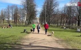 Петербурженка Ольга дарит собакам вторую жизнь