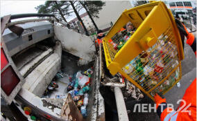 Жители Ивангорода жалуются на плохой вывоз мусора