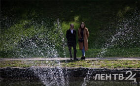 Без осадков и до +20 градусов: о погоде в Ленобласти 5 мая
