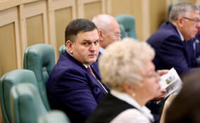 Сергей Перминов: на эстонской земле немало тех, кто не разделяет официальных подходов ко Дню Победы