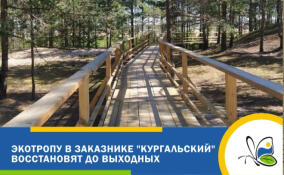 Экотропу в заказнике «Кургальский» восстановят до ближайших выходных