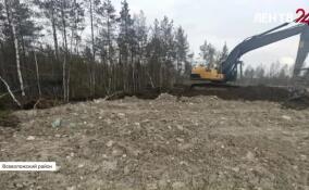 Во Всеволожском районе пресекли незаконную деятельность по обращению с отходами
