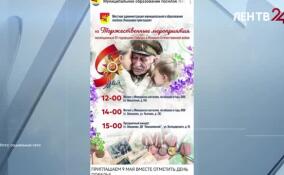Жители Левашово остались недовольны плакатами к 9 Мая