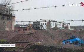 В Кингисеппе ликвидировали незаконную свалку