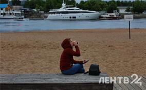 Преимущественно без осадков и до +15 градусов: о погоде в Ленобласти 7 мая